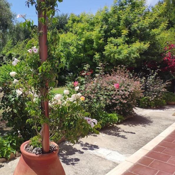 La Casa Di Giada, Appartamento In Villetta Con Aria Condizionata, Wi-Fi E Parcheggio Gratuito Poggi Eksteriør billede